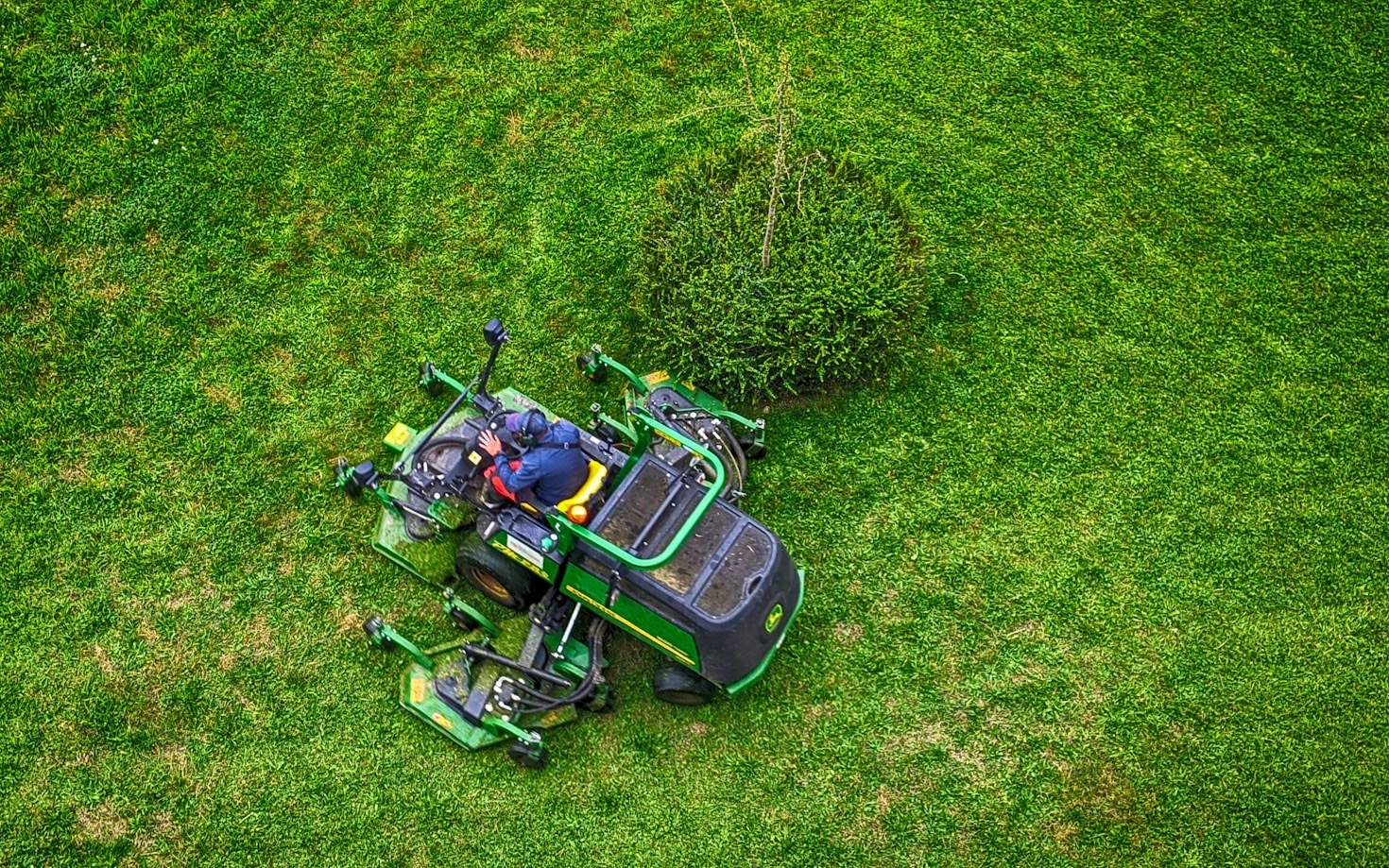 Top Lawn Care Tips for the Blue Ridge Region